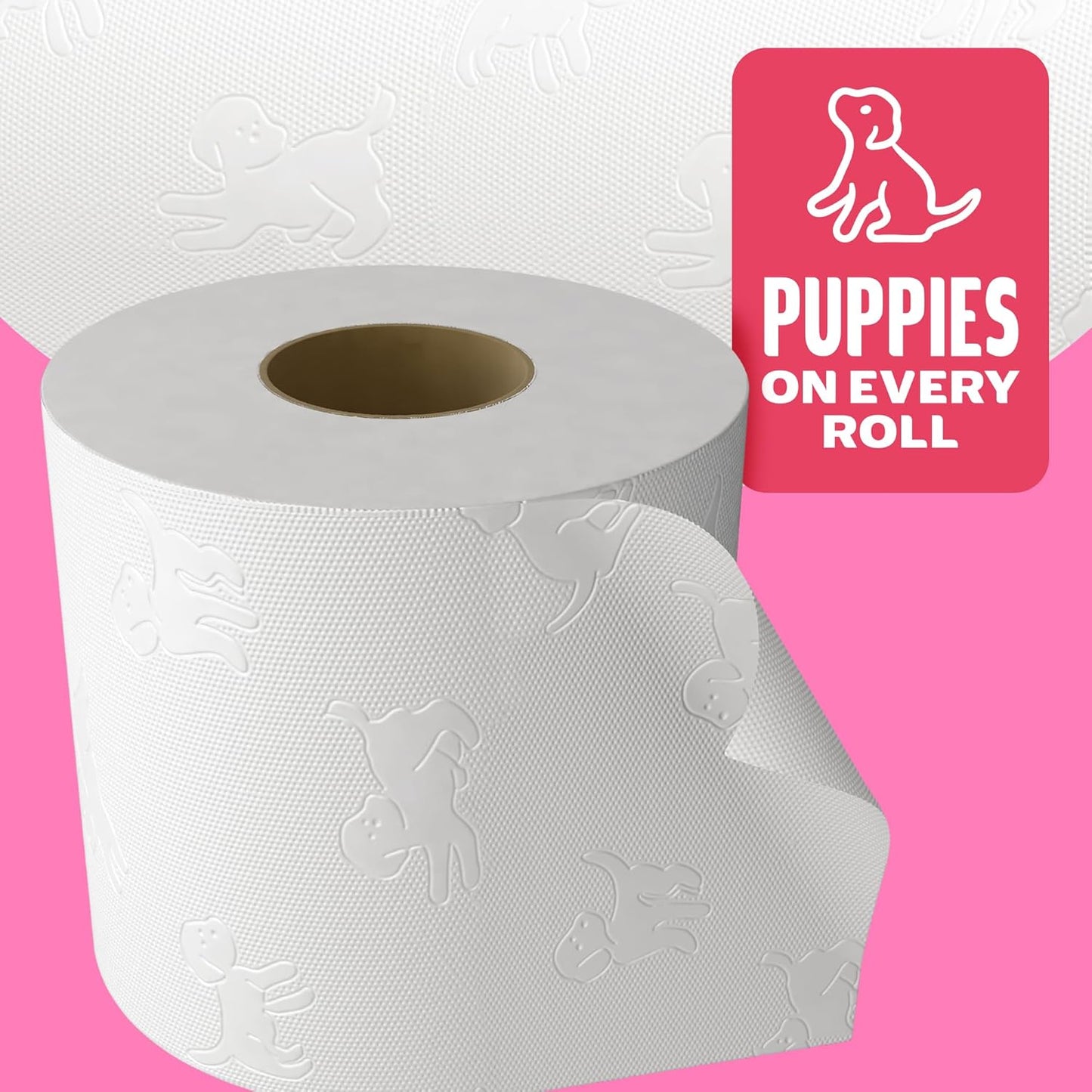 Family Soft Toilet Tissue 45 Rolls (Previously Gentle Clean) Gentle on Your Family’S Skin– Bulk Pack of 45 Toilet Rolls, FSC Certified
