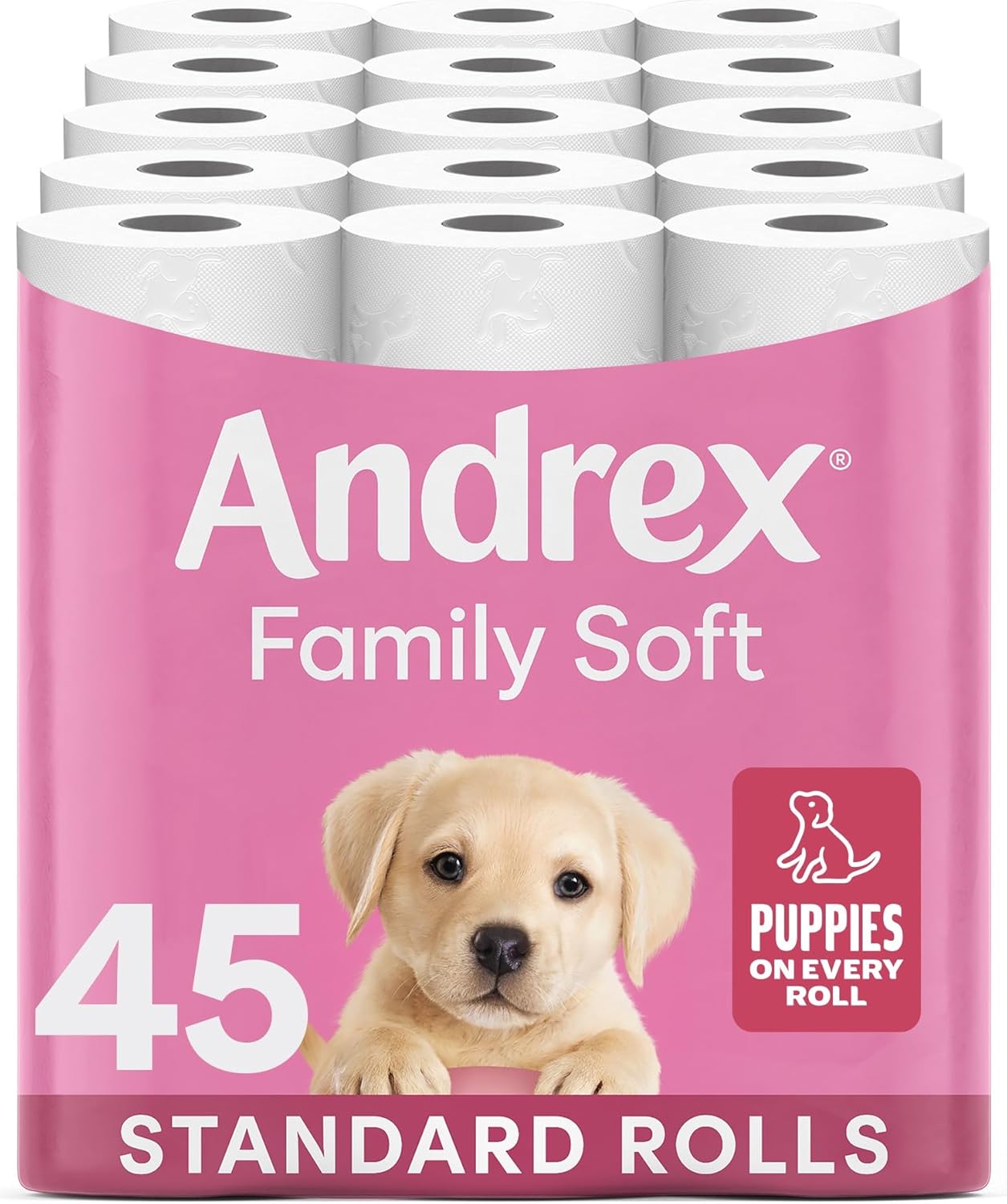 Family Soft Toilet Tissue 45 Rolls (Previously Gentle Clean) Gentle on Your Family’S Skin– Bulk Pack of 45 Toilet Rolls, FSC Certified