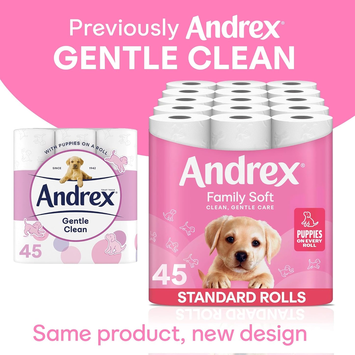 Family Soft Toilet Tissue 45 Rolls (Previously Gentle Clean) Gentle on Your Family’S Skin– Bulk Pack of 45 Toilet Rolls, FSC Certified