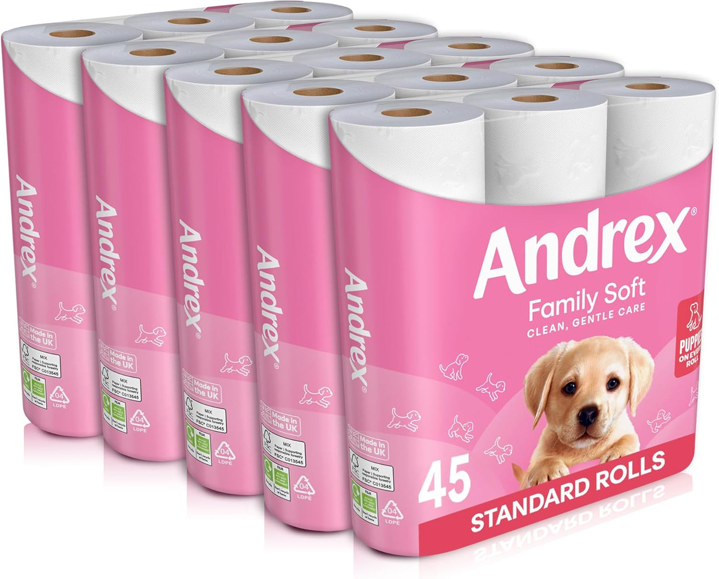 Family Soft Toilet Tissue 45 Rolls (Previously Gentle Clean) Gentle on Your Family’S Skin– Bulk Pack of 45 Toilet Rolls, FSC Certified