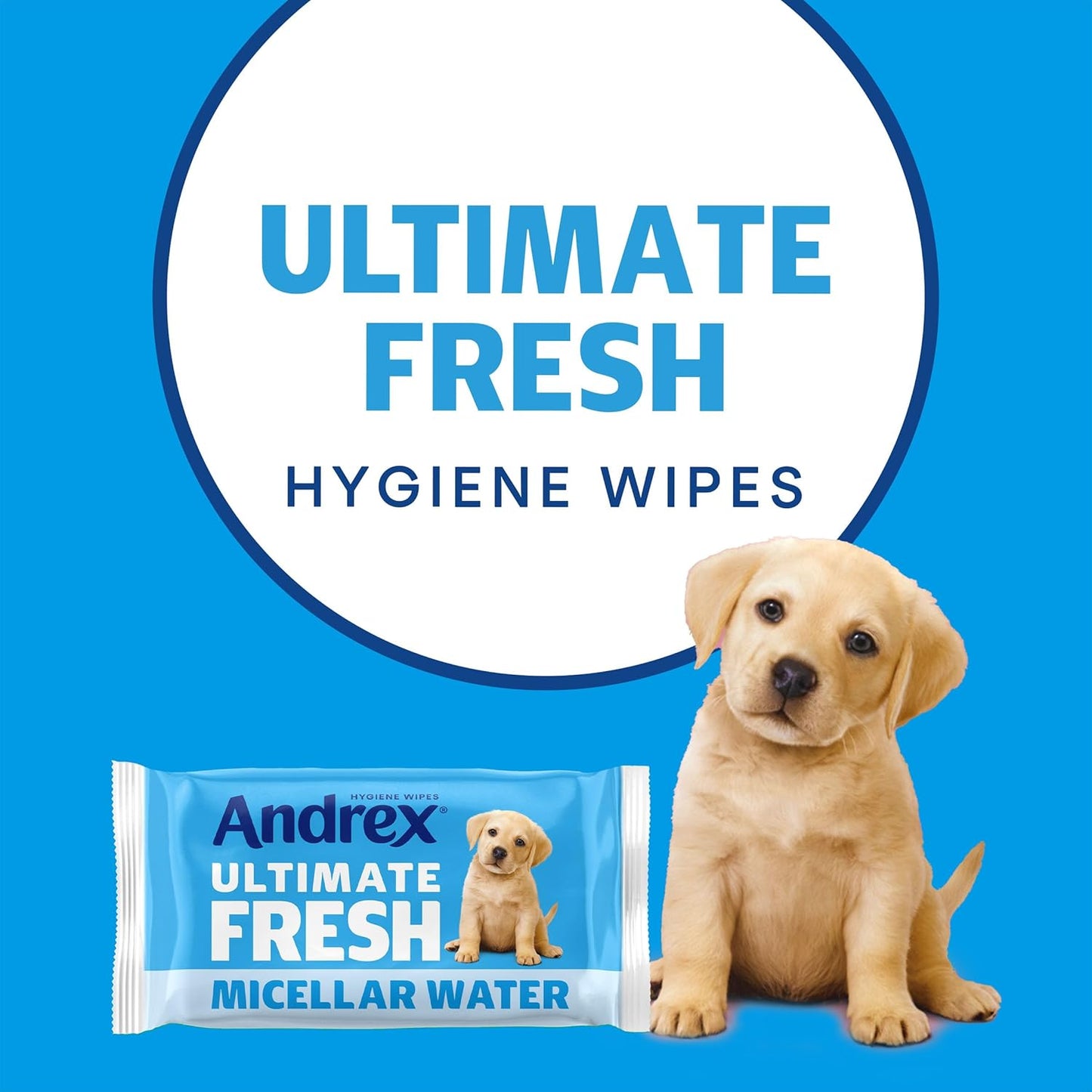 Ultimate Fresh Washlets, 12 Packs - Gentle, Biodegradable, Flushable Toilet Wipes for Everyday Hygiene, Use with Regular Toilet Roll for a Shower Fresh Clean