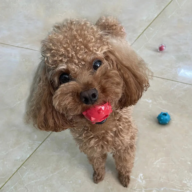 CAITEC Mini Squeaking Ball Dog Toy | Soft Floatable Springy Ball for Tossing and Chasing - Ideal for Mini & Small Dogs
