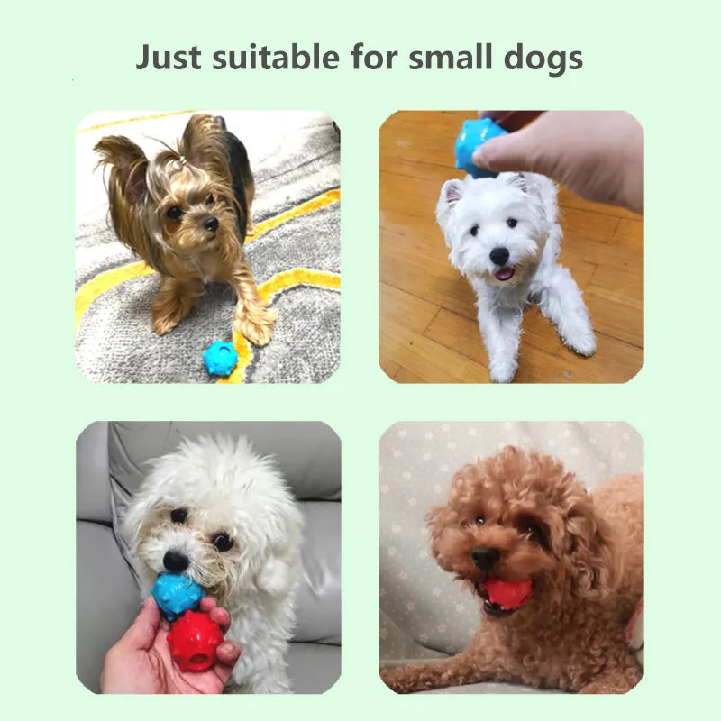 CAITEC Mini Squeaking Ball Dog Toy | Soft Floatable Springy Ball for Tossing and Chasing - Ideal for Mini & Small Dogs