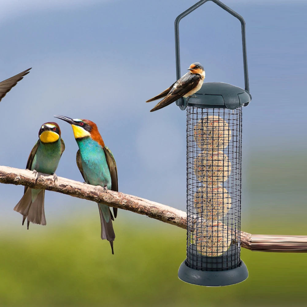 Bird Feeder Dumplings Grease Ball Rack | Outdoor Food Dispenser for Small Wild Birds