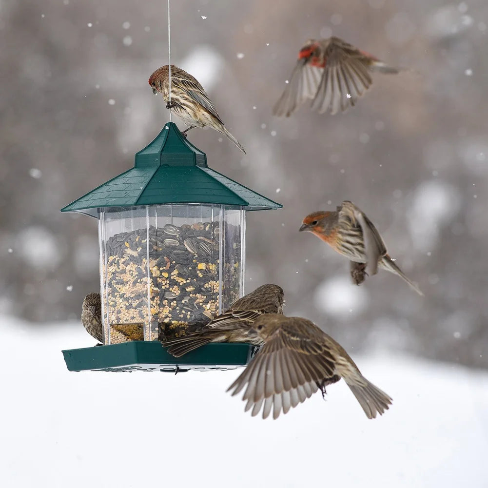 Hanging Wild Bird Feeder | Waterproof Gazebo Outdoor Container with Hang Rope Feeding House