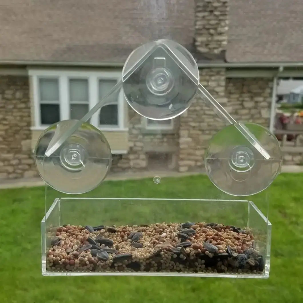 Transparent Window Wild Bird Feeder House | Removable Suction Cups & Sliding Feed Tray for Garden, Patio, and Yard