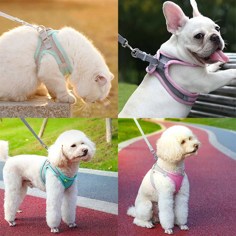 Adjustable Cat and Dog Harness Leash Set | Perfect for French Bulldogs, Puppies, and Chihuahuas - Ideal for Outdoor Walking
