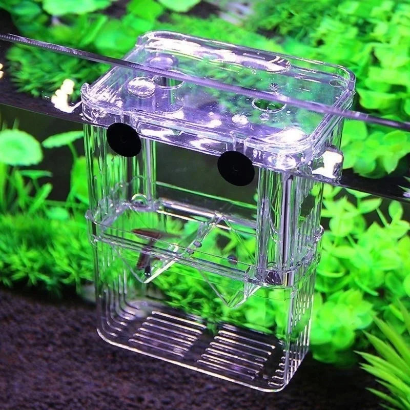 Multifunctional Fish Breeding Isolation Box | High Clear Acrylic Hatching Incubator for Guppies & Fish