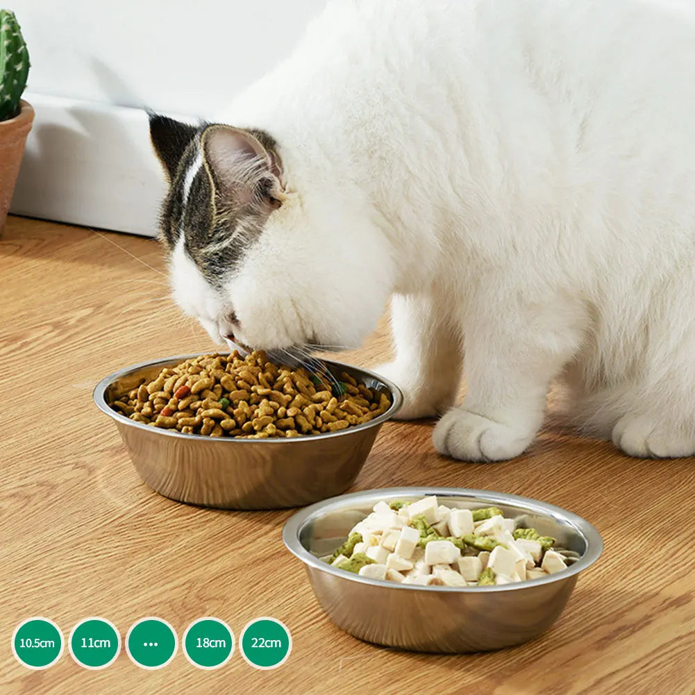Large Capacity Stainless Steel Dog & Cat Bowl | Durable Metal Feeder for Food and Water