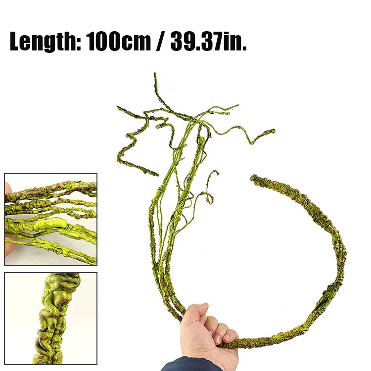 49760649445640