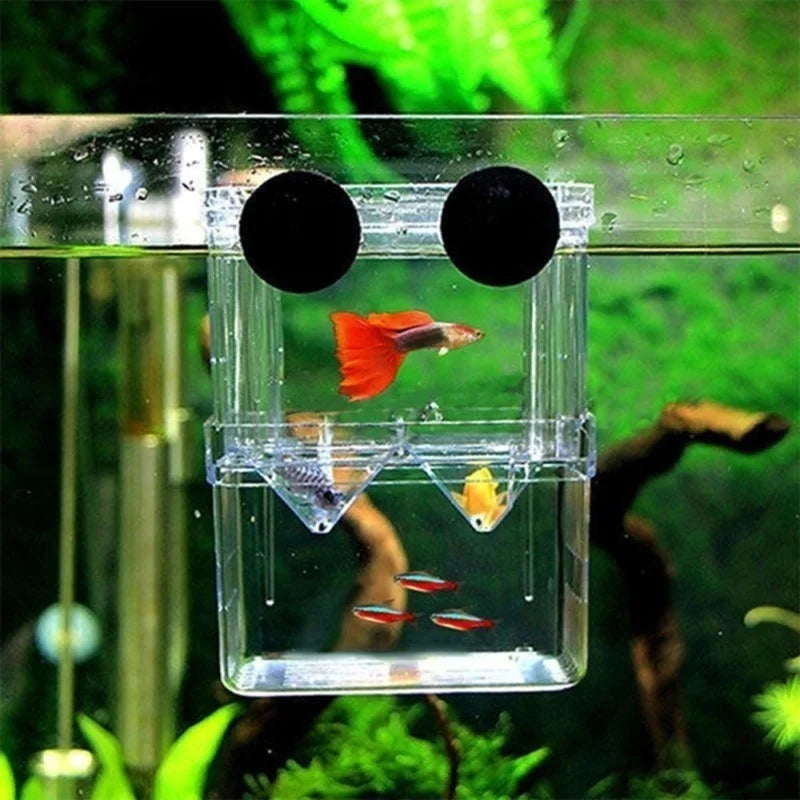 Multifunctional Fish Breeding Isolation Box | High Clear Acrylic Hatching Incubator for Guppies & Fish