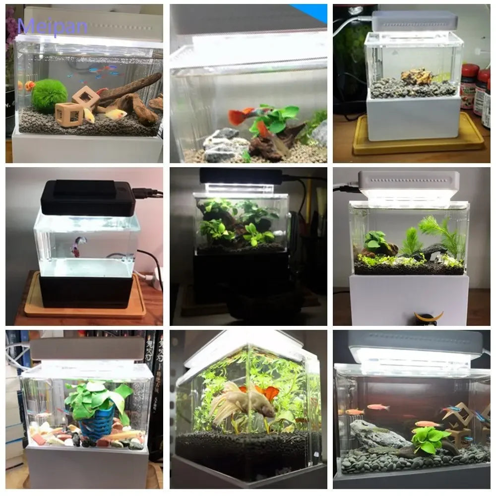 Portable Mini Betta Fish Tank | Desktop Aquarium with Water Filter, USB Air Pump & LED Light