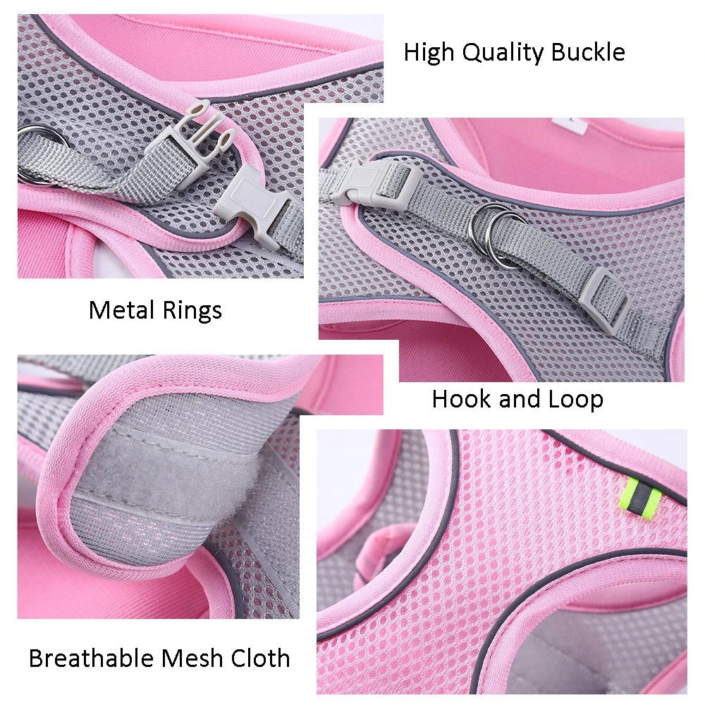 Adjustable Cat and Dog Harness Leash Set | Perfect for French Bulldogs, Puppies, and Chihuahuas - Ideal for Outdoor Walking