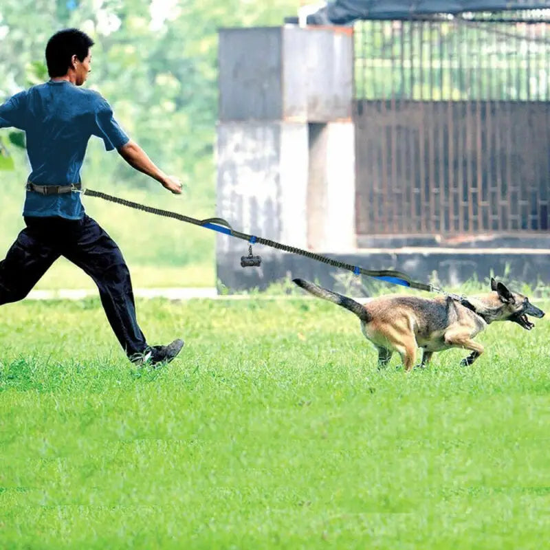 Reflective Elastic Dog Running Leash | Hands-Free Jogging Belt with Metal D-Ring