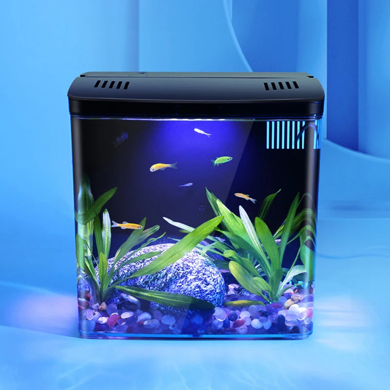 Mini Fish Tank with Self-Circulating Filter | Home Aquarium Kit with Lighting & Wave Pumps