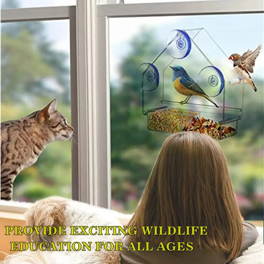 Transparent Window Wild Bird Feeder House | Removable Suction Cups & Sliding Feed Tray for Garden, Patio, and Yard