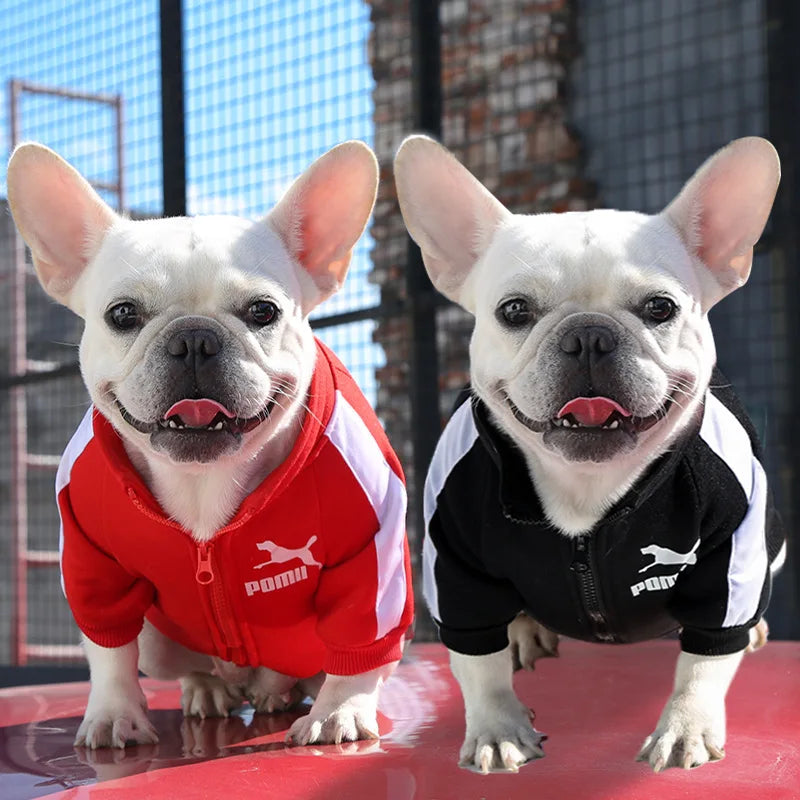 Baseball Dog Jacket Winter Dog Clothes for Small Medium Dogs