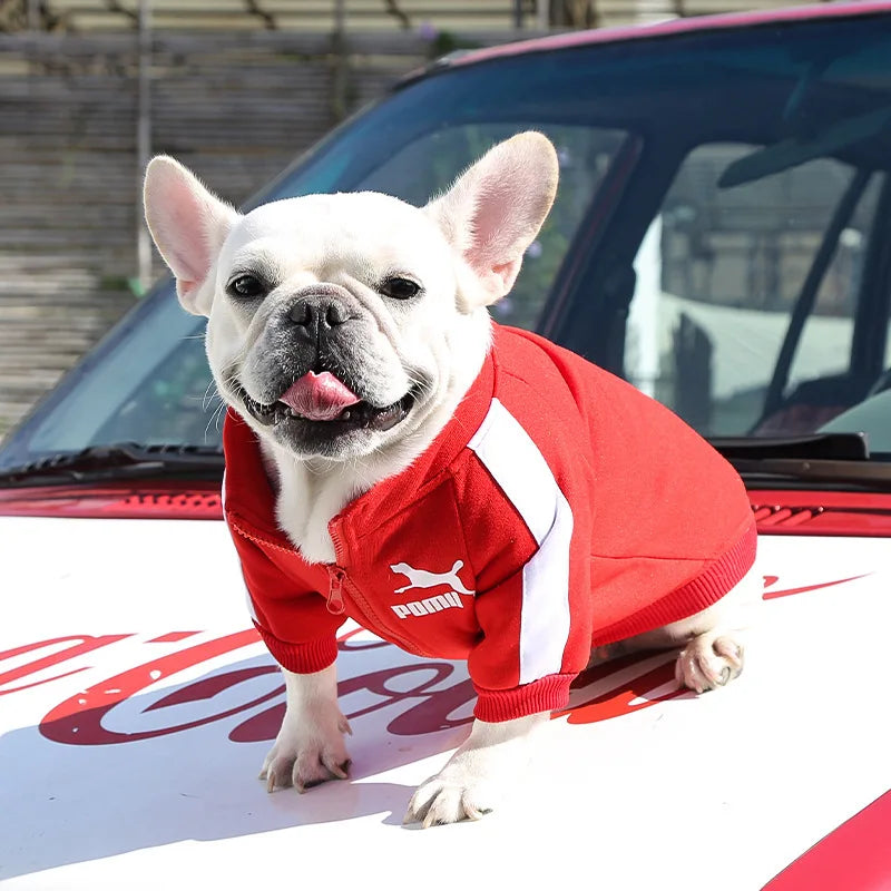 Baseball Dog Jacket Winter Dog Clothes for Small Medium Dogs