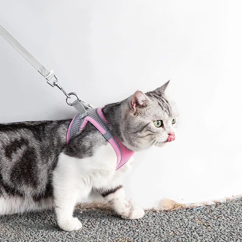 Adjustable Cat and Dog Harness Leash Set | Perfect for French Bulldogs, Puppies, and Chihuahuas - Ideal for Outdoor Walking