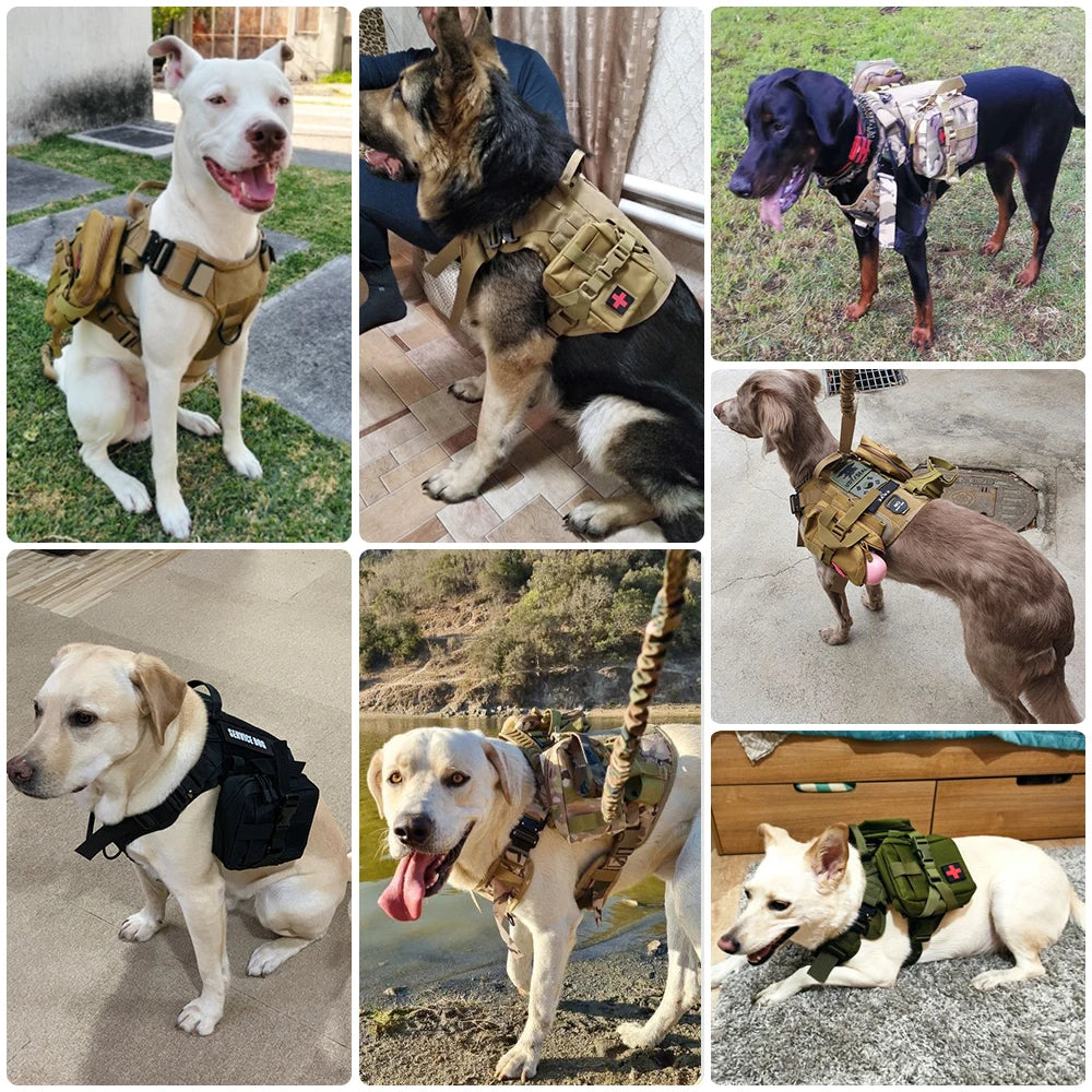 Tactical Military Dog Harness & Leash Set | For Large Dogs, German Shepherds, K9, Malinois