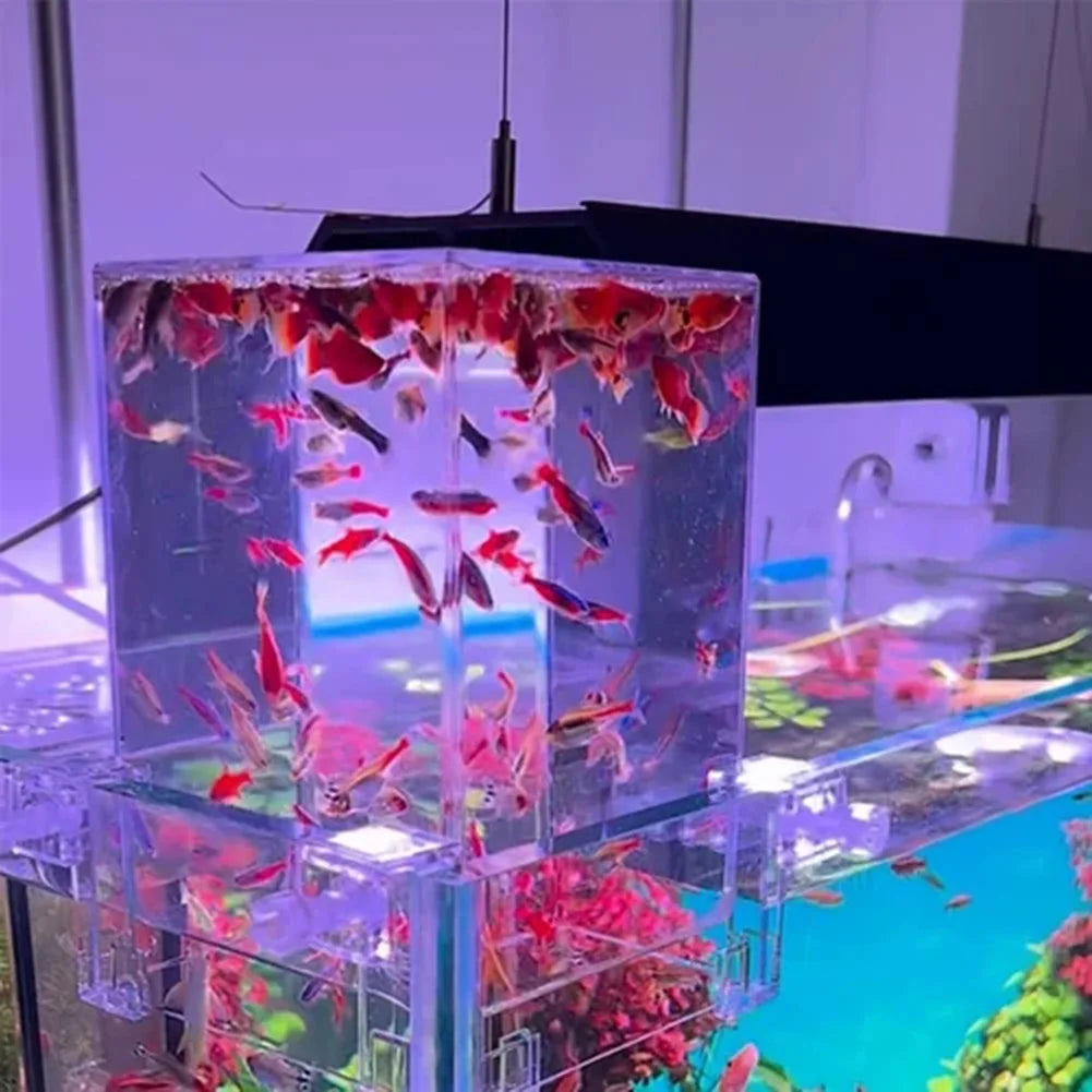 Clear Aerial Aquarium Extender | Negative Pressure Fish Tank with Ecological Landscaping Decoration