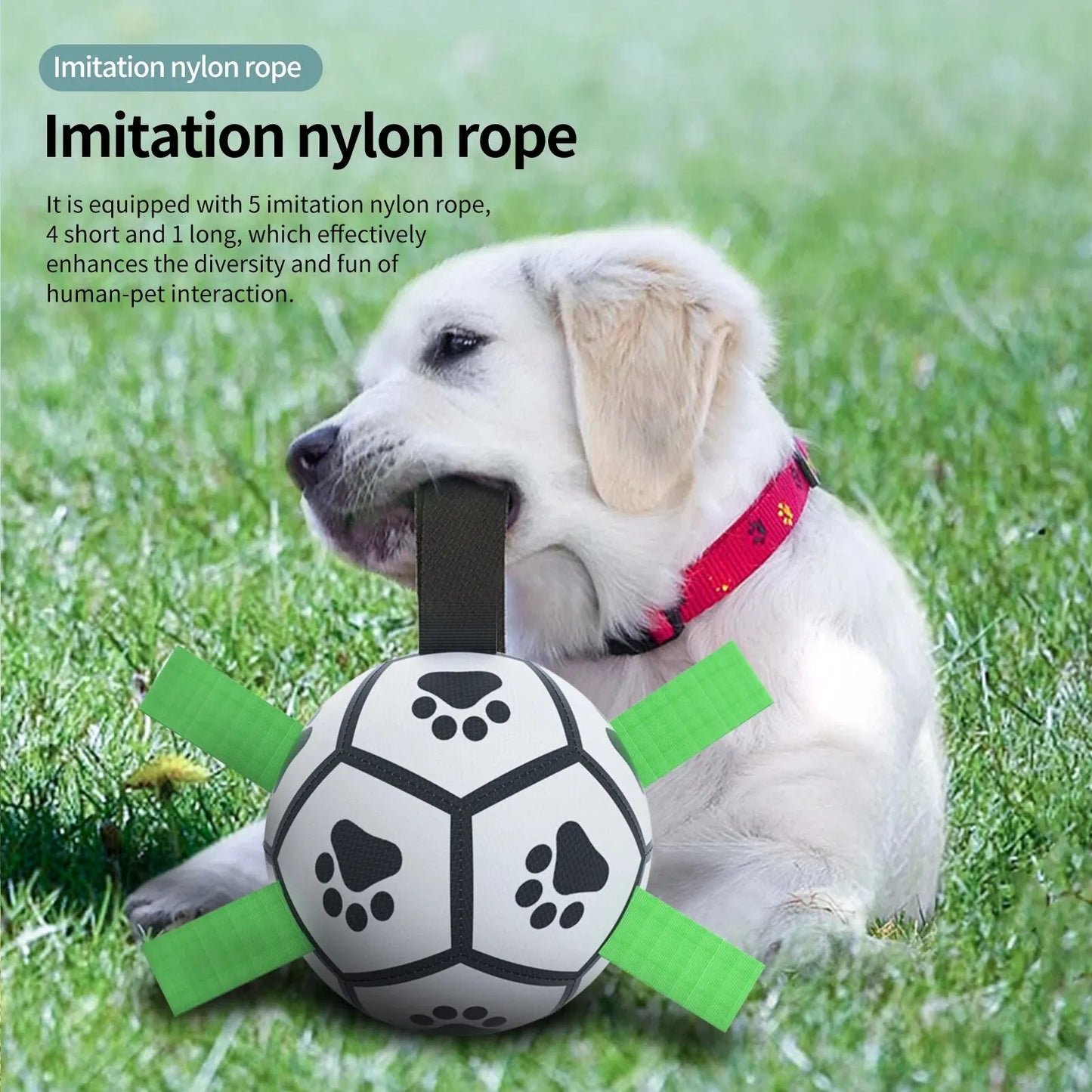 Interactive Dog Toy Football | Bite-Resistant Training Ball for Dogs - Perfect for Pulling and Fetching
