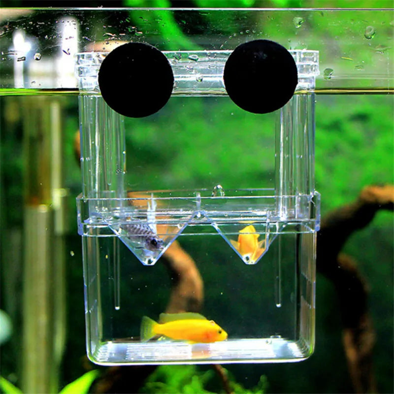 S/L/XL Aquarium Breeder Box | Acrylic Isolation Box for Fish & Shrimp