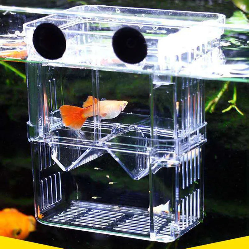 S/L/XL Aquarium Breeder Box | Acrylic Isolation Box for Fish & Shrimp