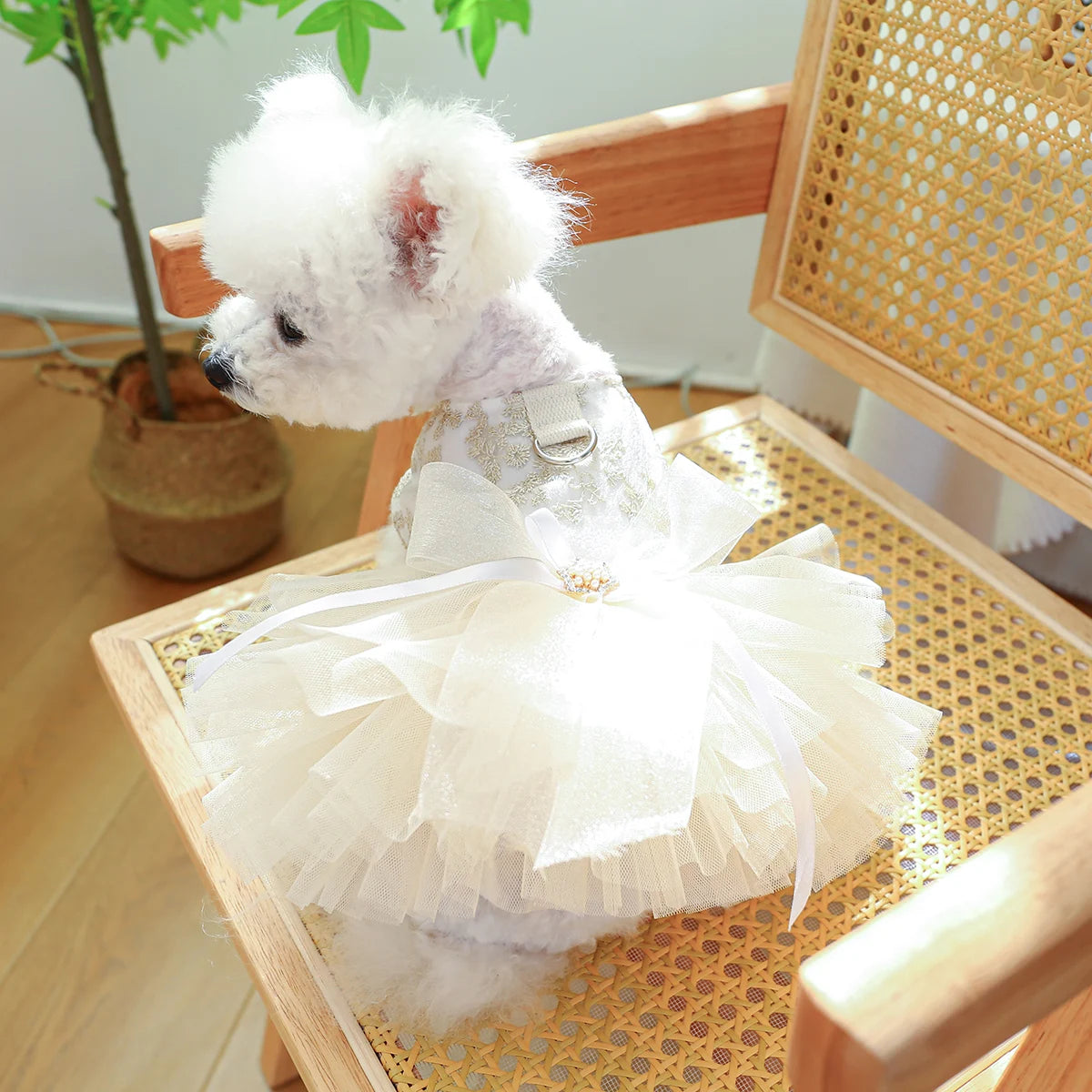 1PC Pet Apparel Dog Spring/Summer Breathable White Wedding Dress