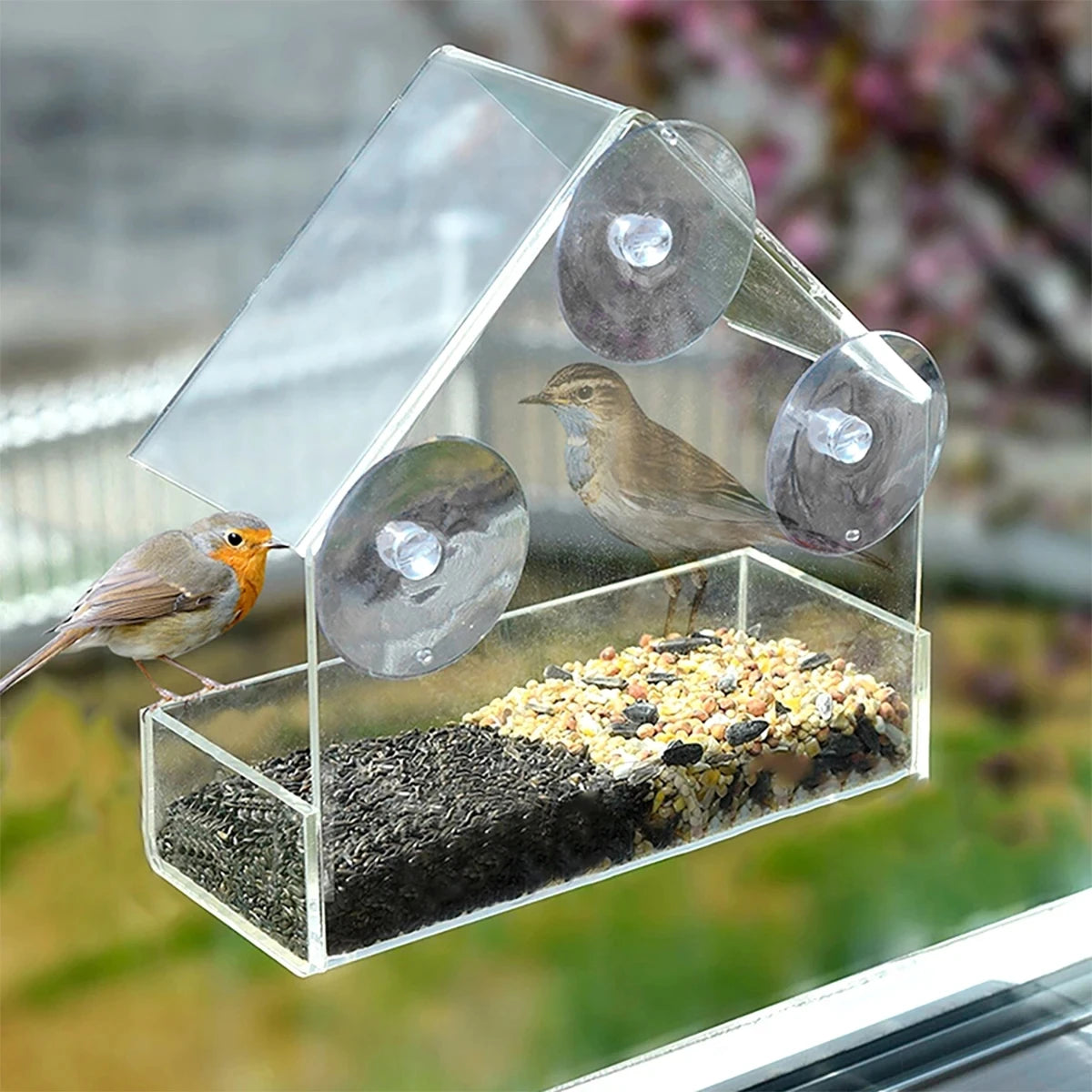 Transparent Window Wild Bird Feeder | Outdoor Removable Suction Cups & Sliding Automatic Feed Tray for Garden, Patio, and Yard