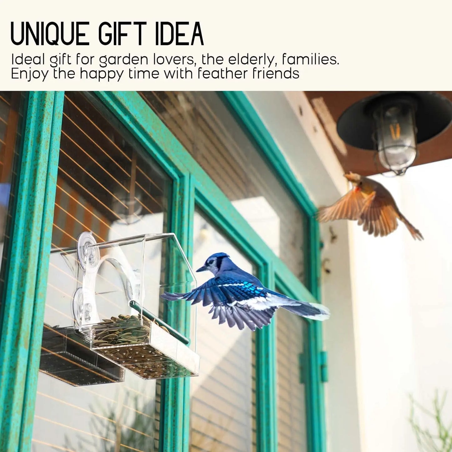 Window Bird Feeder | Waterproof House-Shaped Squirrel Food Container with Suction Cup Installation