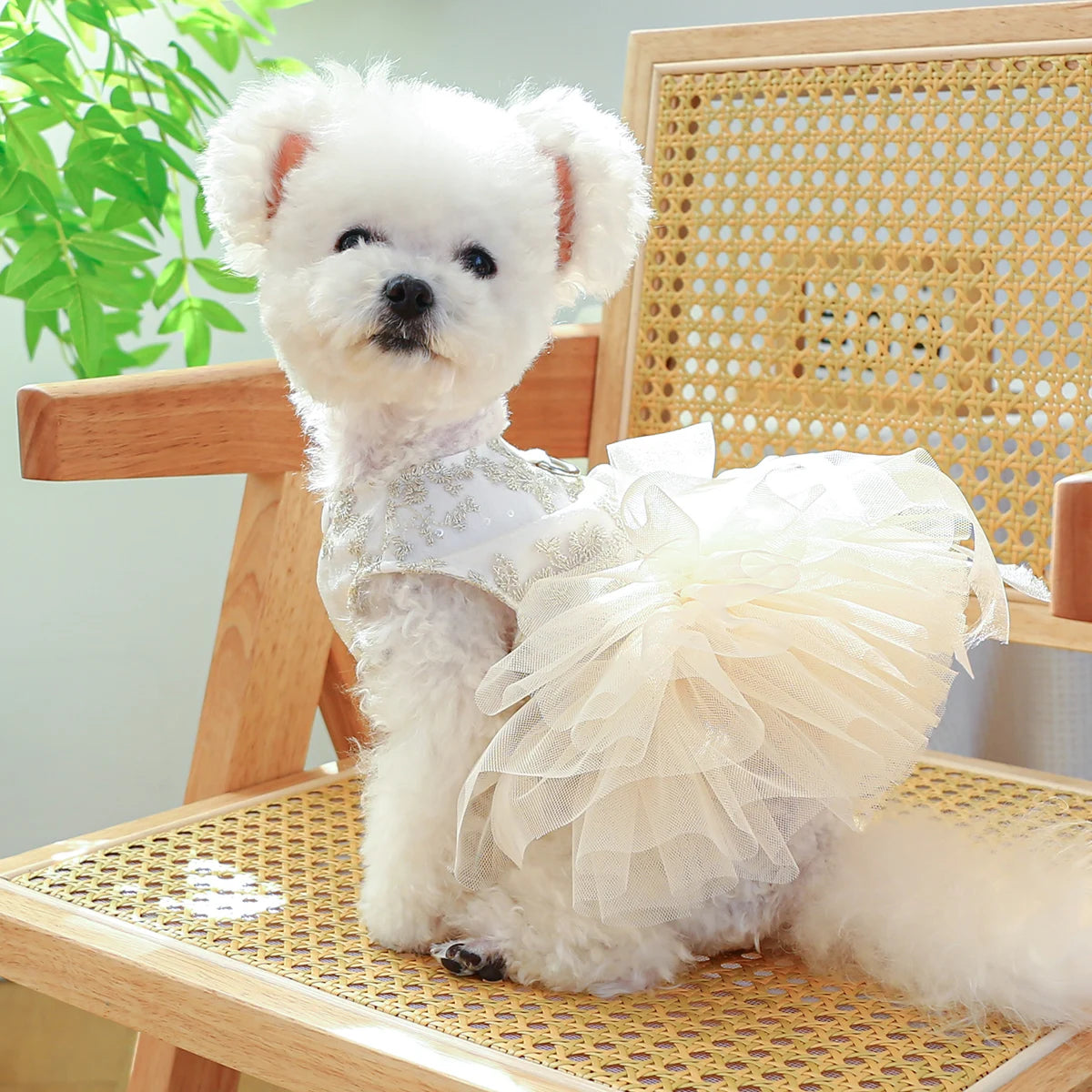 1PC Pet Apparel Dog Spring/Summer Breathable White Wedding Dress