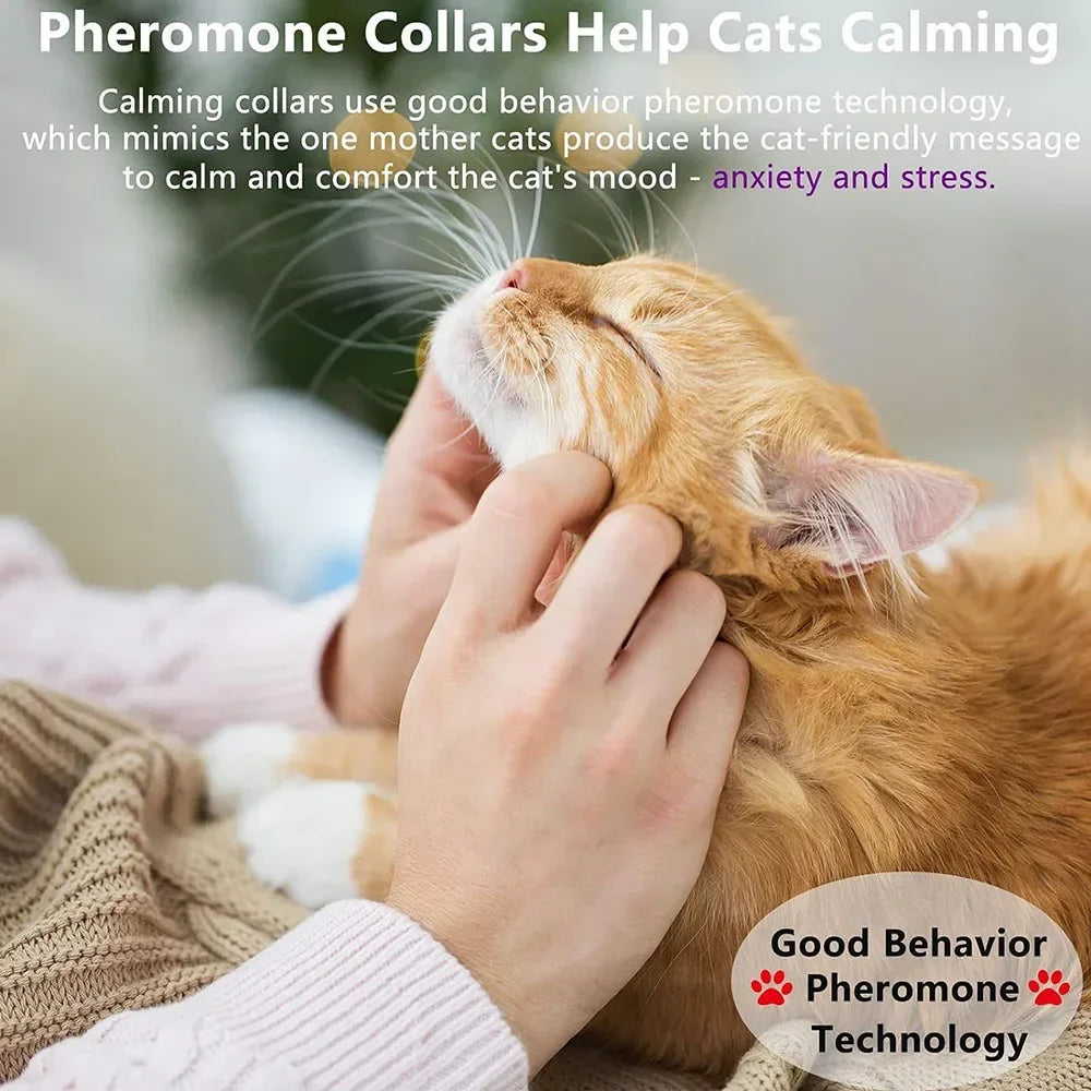 Adjustable Calming Collar for Cats and Dogs | 38/70cm Anxiety Reduction Pheromone Collar - Safe and Natural