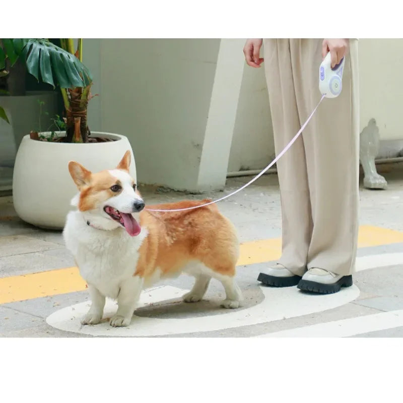 LED Dog Leash with Automatic Extension | Durable Nylon Pet Walking Lead | Streamer Lights for Safety & Visibility