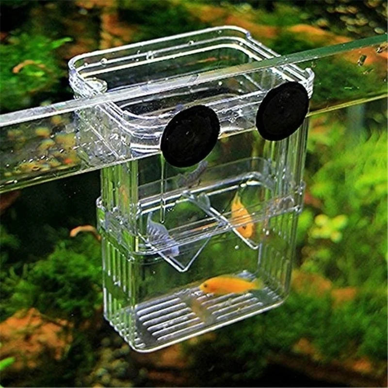 Multifunctional Fish Breeding Isolation Box | High Clear Acrylic Hatching Incubator for Guppies & Fish