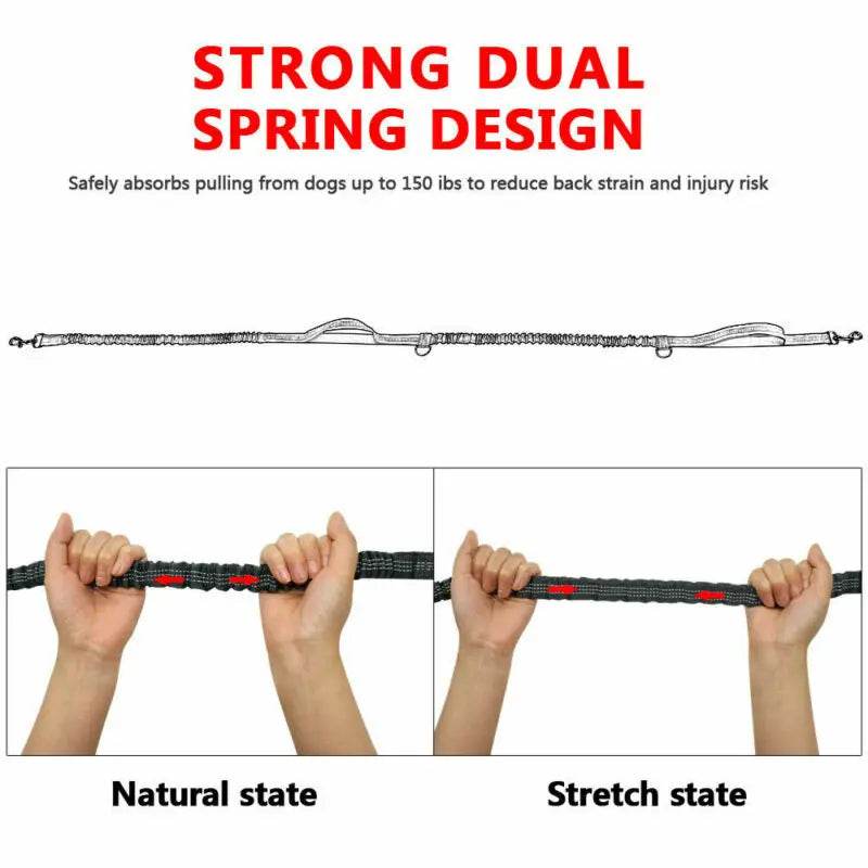 Reflective Elastic Dog Running Leash | Hands-Free Jogging Belt with Metal D-Ring
