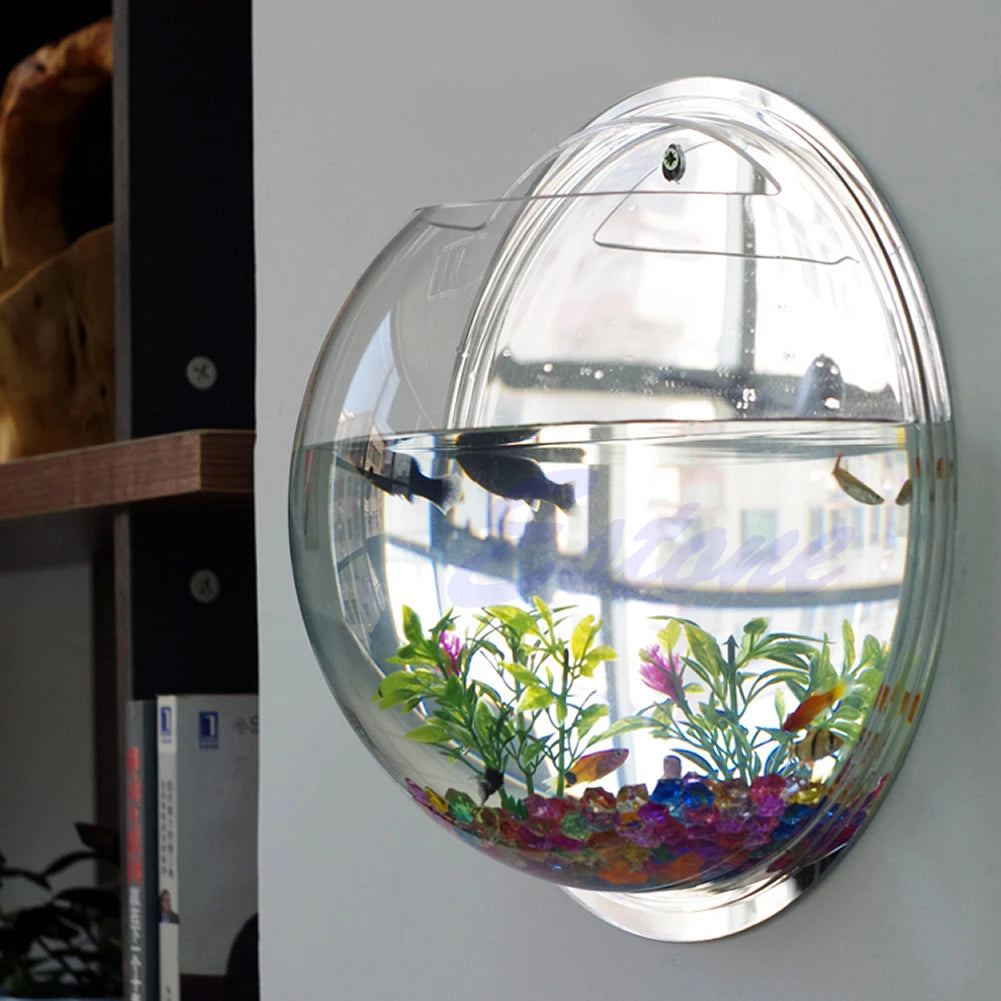 Wall Mounted Acrylic Fish Bowl | Transparent Hanging Fish Tank & Wall Plant Pot Planter