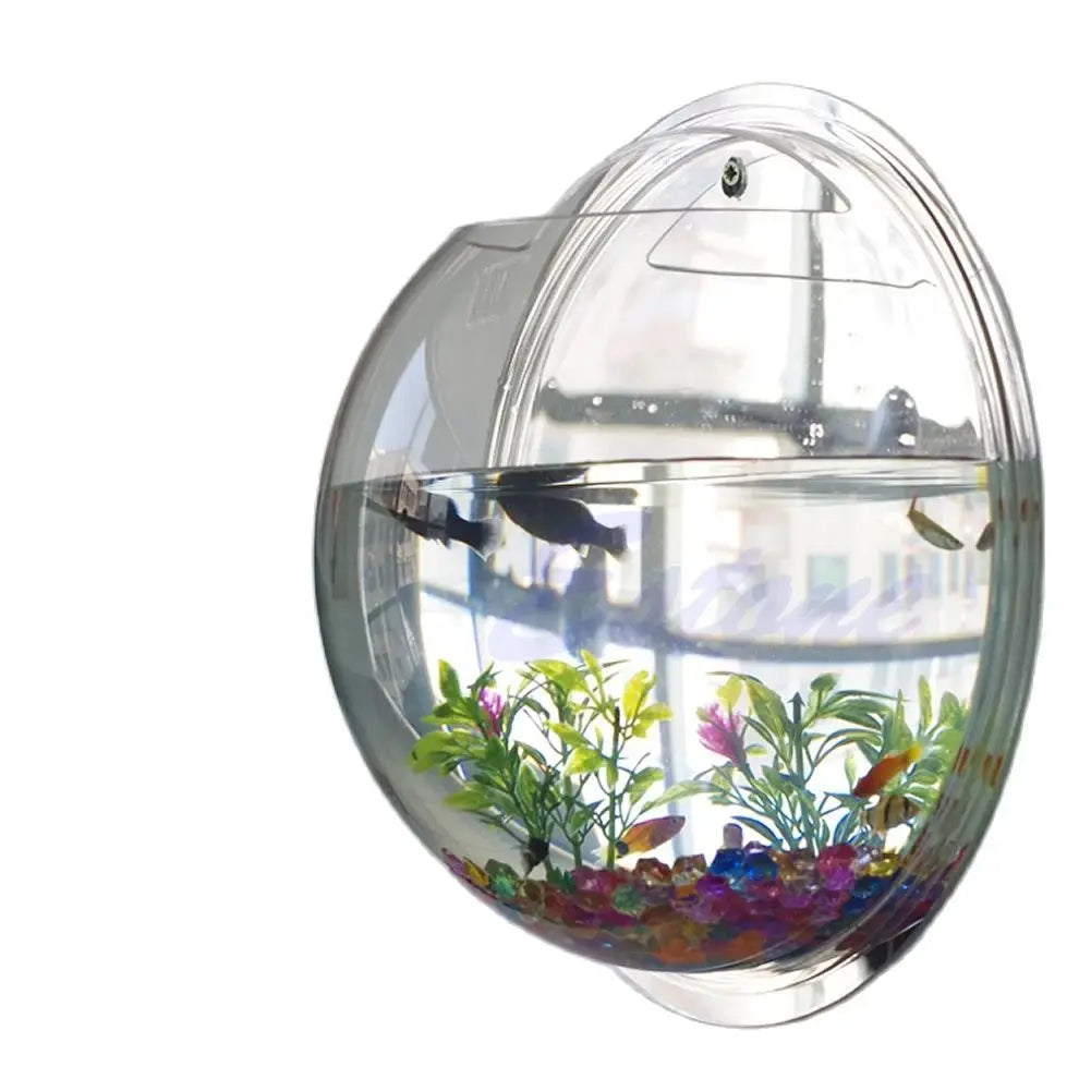Wall Mounted Acrylic Fish Bowl | Transparent Hanging Fish Tank & Wall Plant Pot Planter