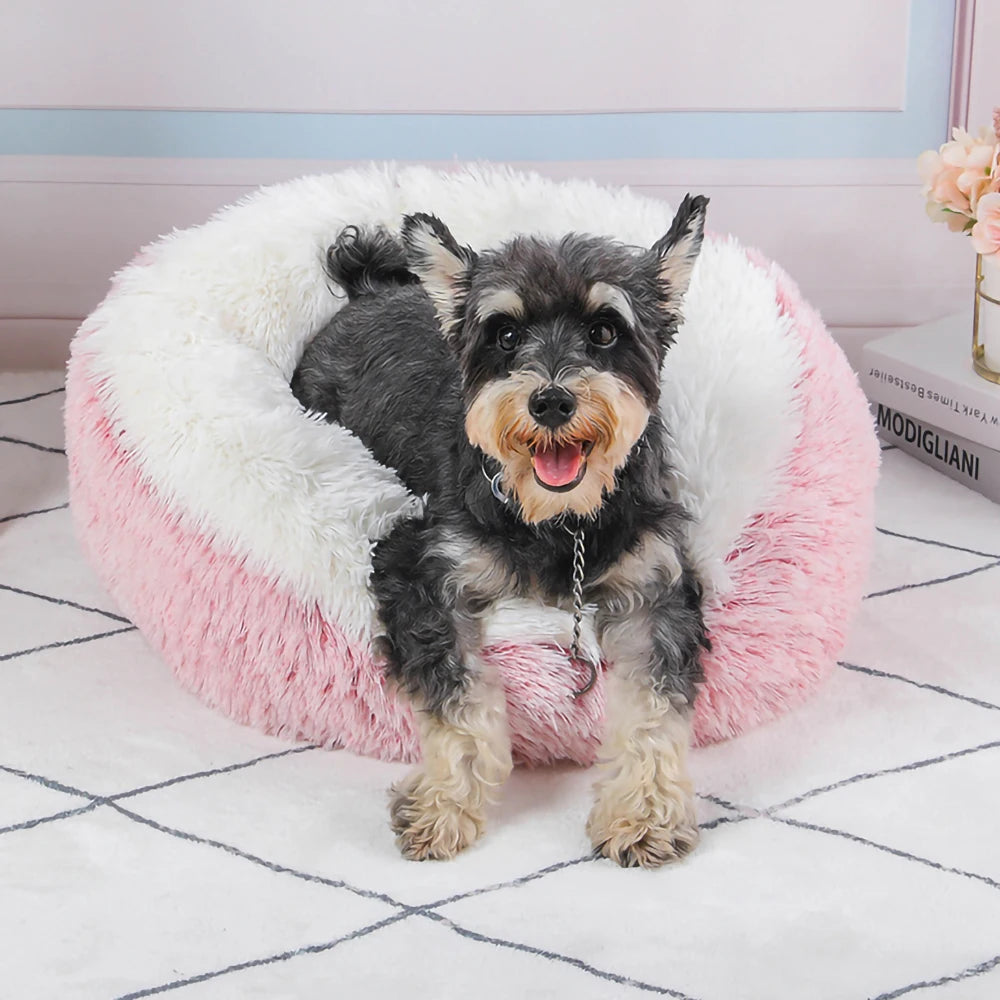 Long Plush Round Cat Bed | Comfy & Fashionable Nap Spot for Cats