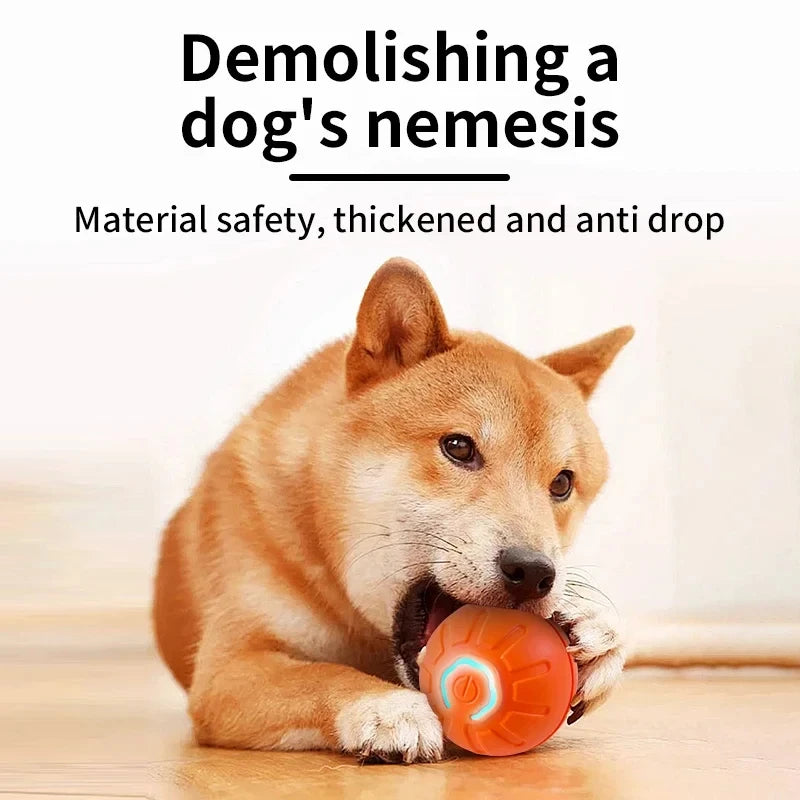 Intelligent Automatic Bouncing Rolling Ball | USB Rechargeable Rubber Toy for Small and Medium Dogs and Cats