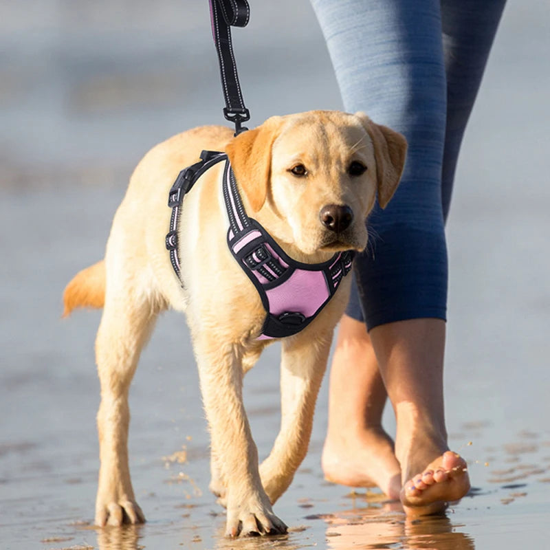 Reflective No Pull Dog Harness | Adjustable Safety Vest for Training & Outdoor Activities