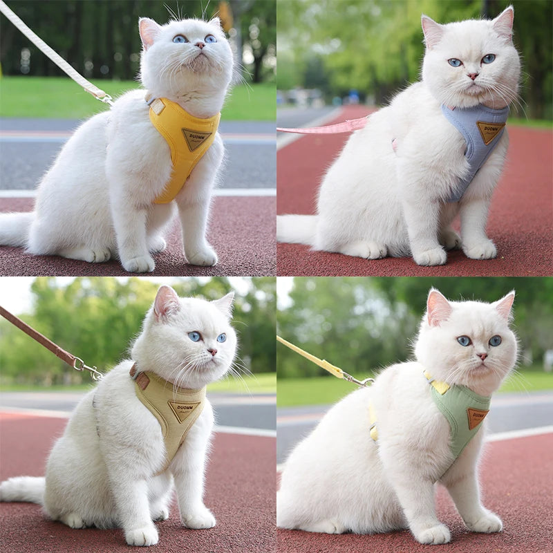 Escape Proof Adjustable Cat Dog Harness with Leash | Ideal for Small Pets