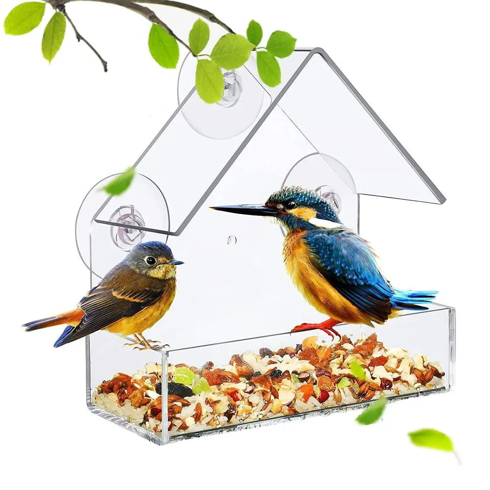 Transparent Window Wild Bird Feeder House | Removable Suction Cups & Sliding Feed Tray for Garden, Patio, and Yard