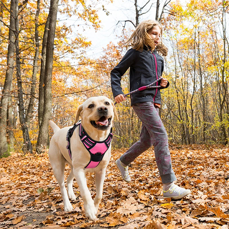 Reflective No Pull Dog Harness | Adjustable Safety Vest for Training & Outdoor Activities