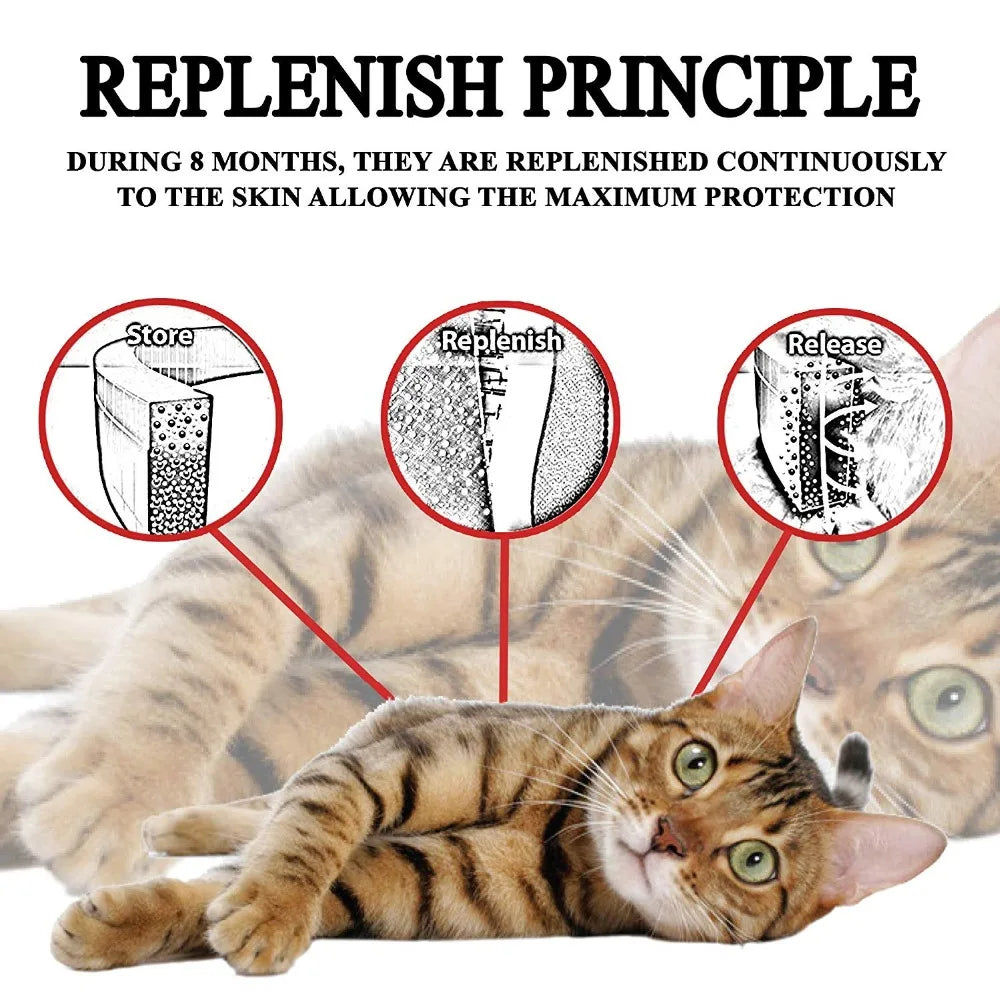 8-Month Protection Flea & Tick Collar | Adjustable Silicone Cat Necklace for Insect Prevention