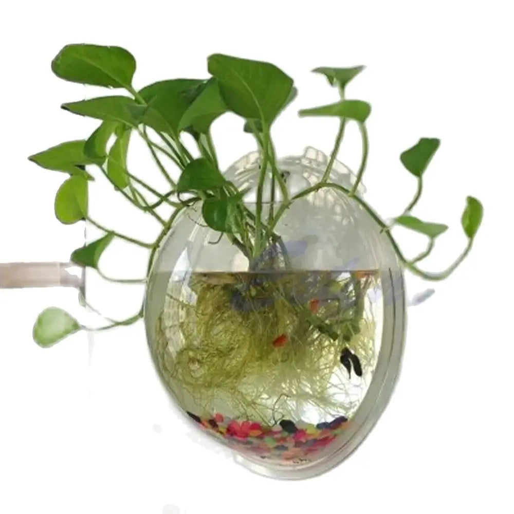 Wall Mounted Acrylic Fish Bowl | Transparent Hanging Fish Tank & Wall Plant Pot Planter