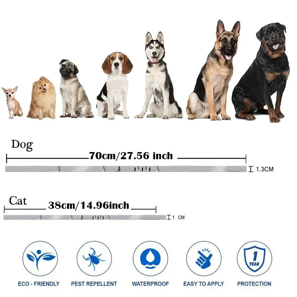 8-Month Protection Flea & Tick Collar | Adjustable Silicone Cat Necklace for Insect Prevention
