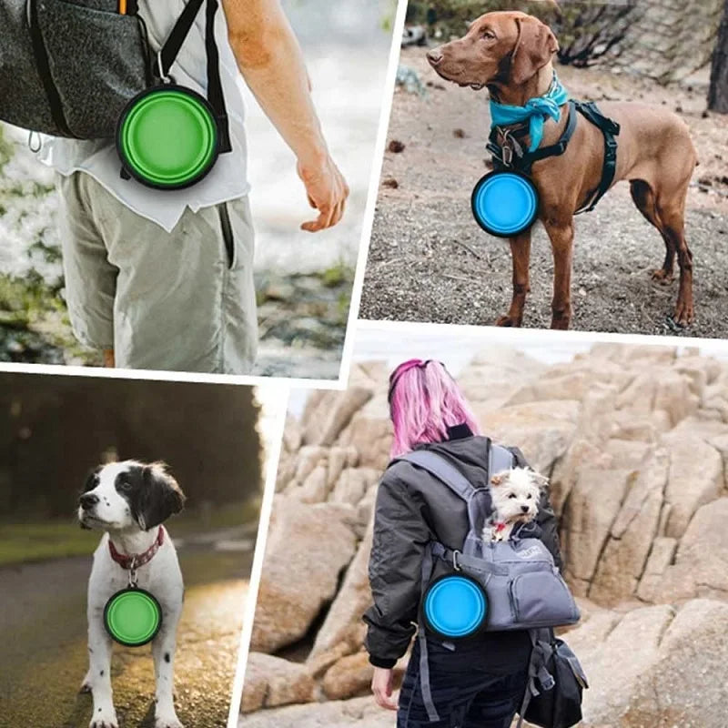Collapsible Silicone Pet Bowl | Portable Dog Food & Water Bowl for Outdoor Travel