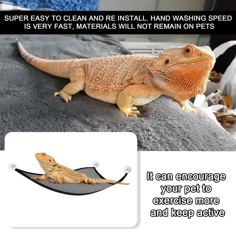 2 Pack Bearded Dragon Hammock | Lizard Lounger Ladder Hanging Bed Accessories for Reptile Habitat