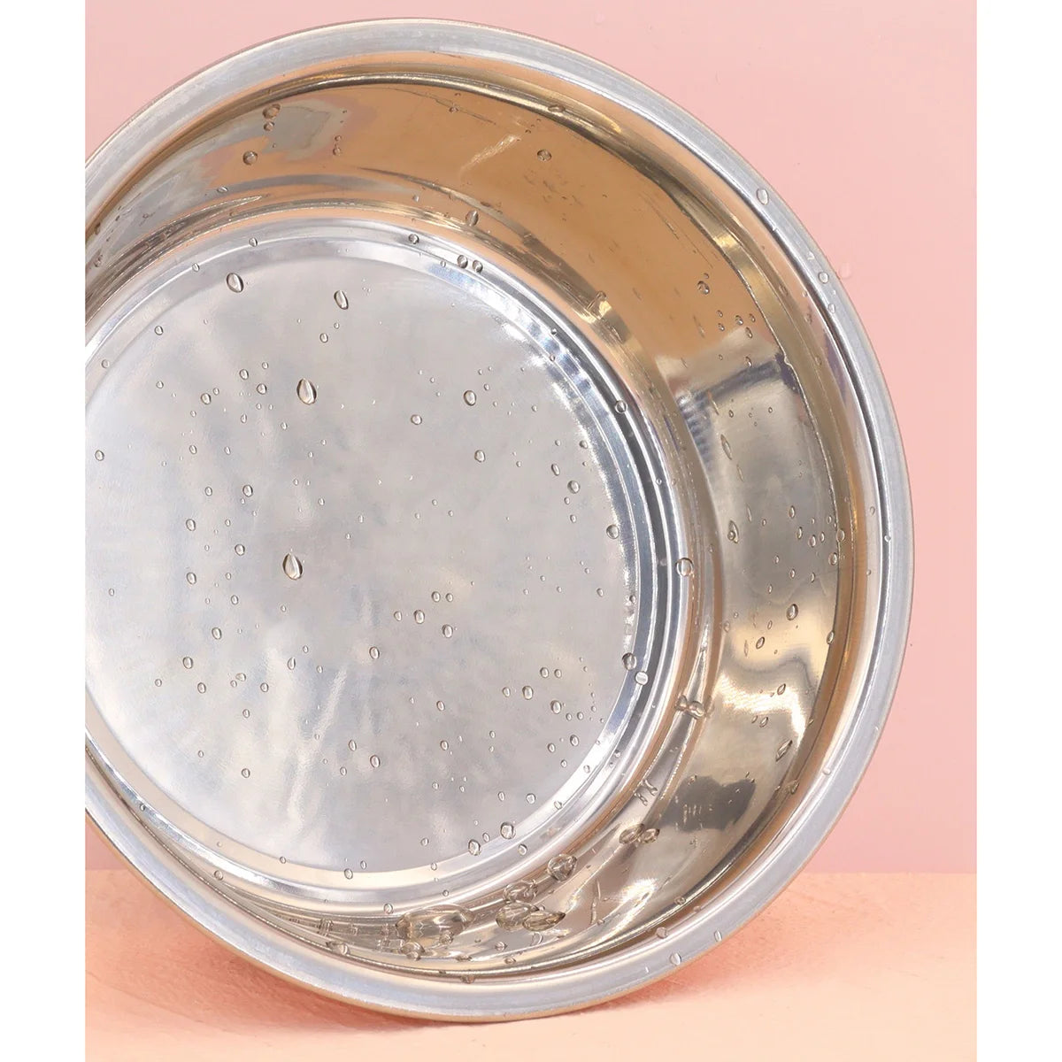 Non-Slip Stainless Steel Pet Bowl | Easy to Clean Dog & Cat Feeder for Indoor Use